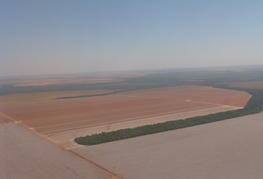 Soybean field, Sinop, Mato Grosso, Brazil. ODYSSEA Project. ©  C.W. Huber, UIBK.
